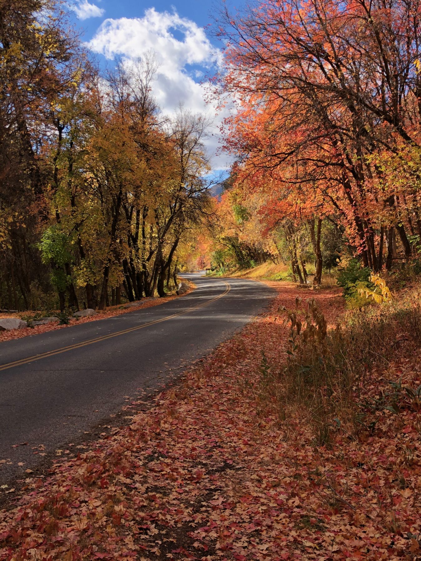 The Best Of Millcreek Canyon Utah Elope   IMG 8101 1350x1800 