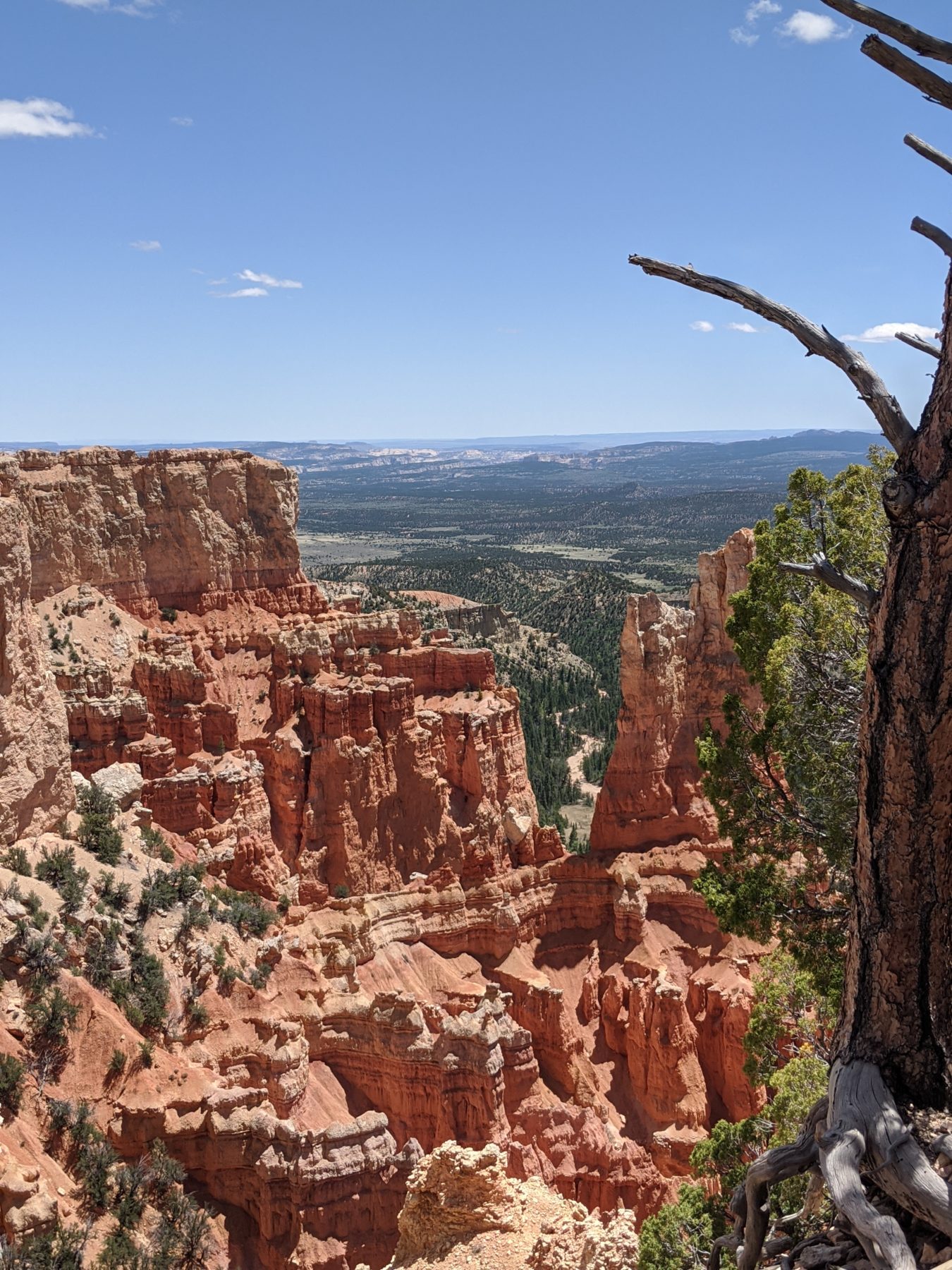 Bryce Canyon destination elopement