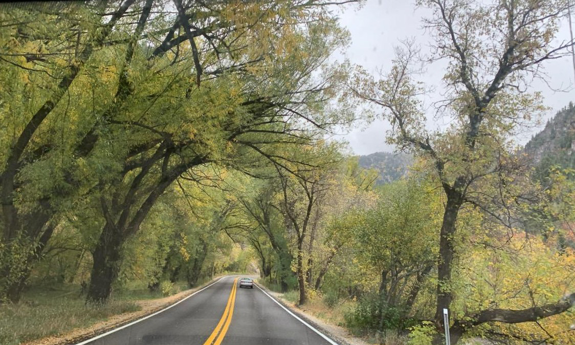 Millcreek Canyon, Utah