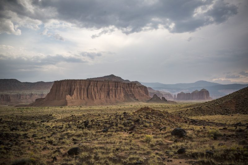 Landscape of a desert