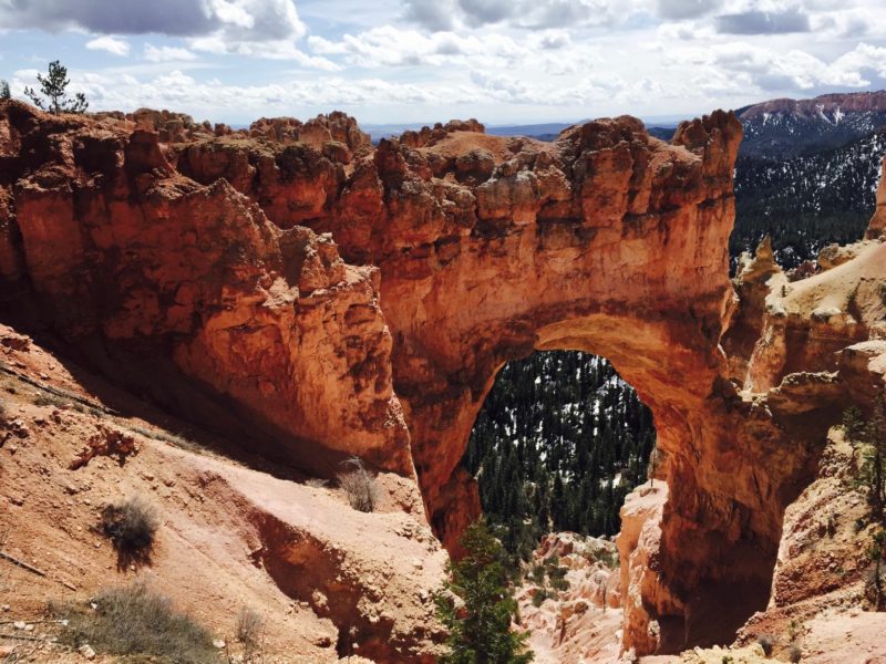 Zion National Park Hike